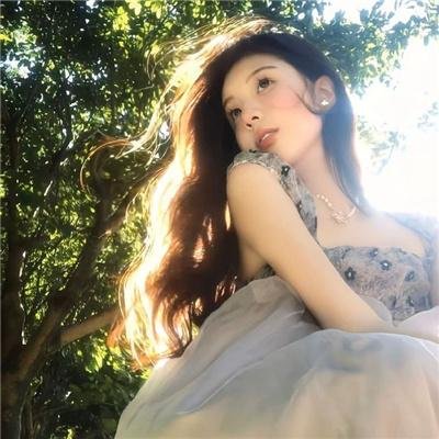 与凤飞
